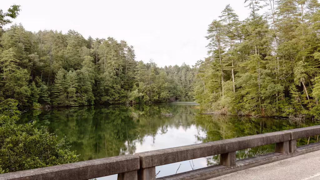 A forested arm of the lake seen from a road bridge, the trees reflected in the water
